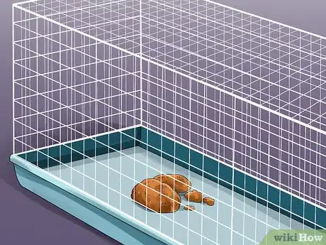 Image titled Catch a Gerbil on the Loose Step 15