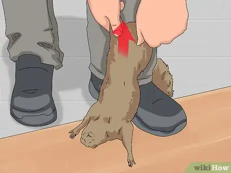 Image titled Skin a Squirrel Step 9