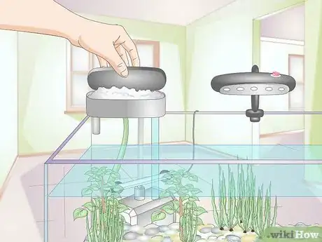 Image titled Take Care of Freshwater Fish Step 9