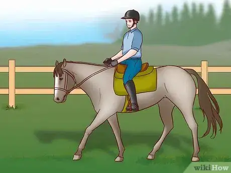 Image titled Compete in an English Pleasure Class Step 1