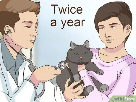 Image titled Watch for Common Senior Cat Health Issues Step 9