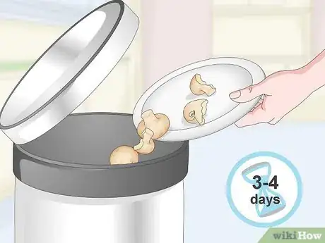Image titled Tell if Mushrooms Are Bad Step 7