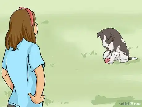Image titled Keep Your Dog from Being Bored Step 10