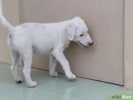 Image titled Make a Puppy Happy Step 12