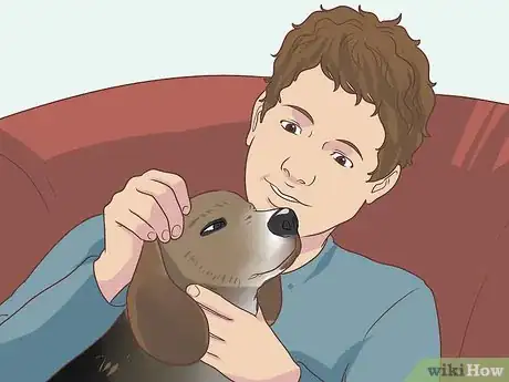 Image titled Support a Dog with Dementia Step 12