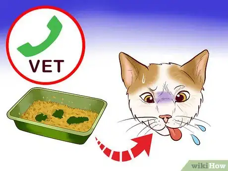 Image titled Choose a Kitty Litter Step 12