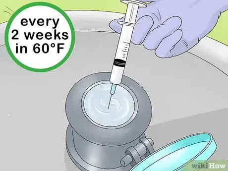 Image titled Control Zebra Mussels Step 18