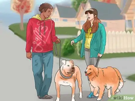 Image titled Work With Dominant Dogs Step 7