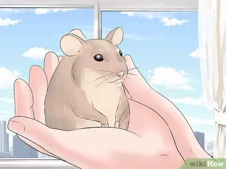Image titled Train Your Hamster Step 2