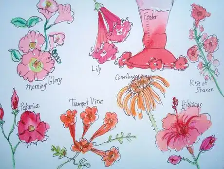 Image titled Knowwhichflowers