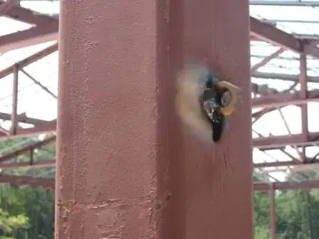 Image titled Newpix 020