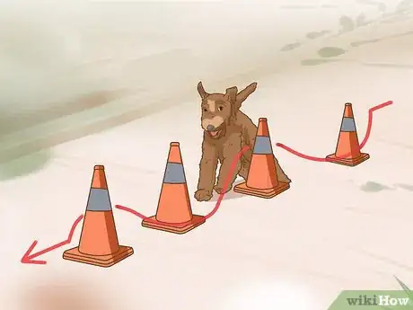 Image titled Have Fun While You're Walking Your Dog Step 13