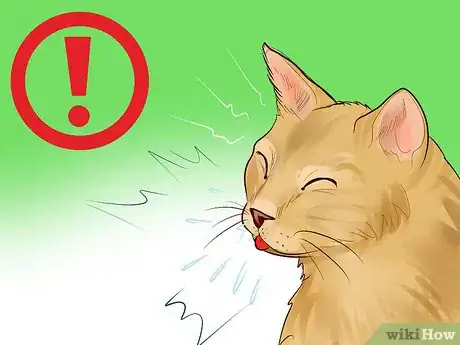 Image titled Choose a Kitty Litter Step 11