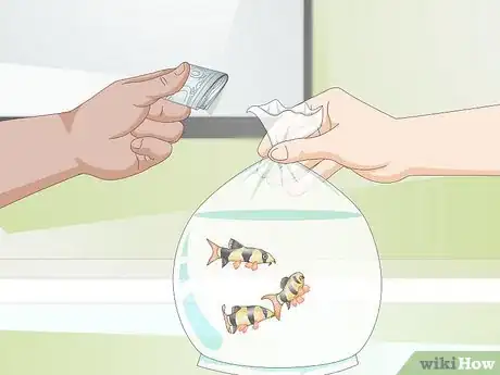 Image titled Take Care of Freshwater Fish Step 5
