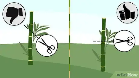 Image titled Prune Bamboo Step 6