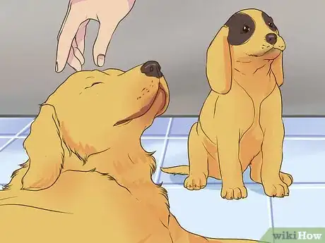 Image titled Introduce a Puppy to a Senior Dog Step 3