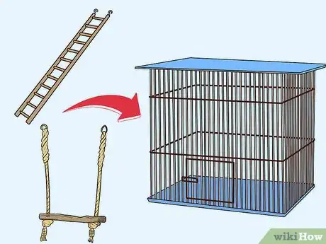 Image titled Entertain a Quaker Parrot Step 1