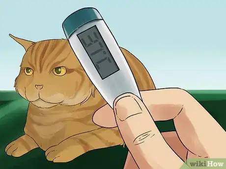 Image titled Diagnose Chronic Vomiting in Cats Step 9