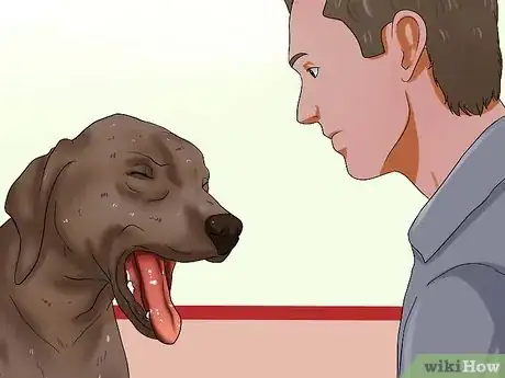 Image titled Diagnose Dog Flu Step 1