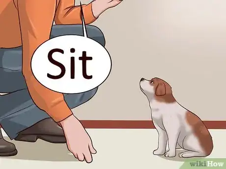 Image titled Teach Your Puppy to Lie Down Step 1