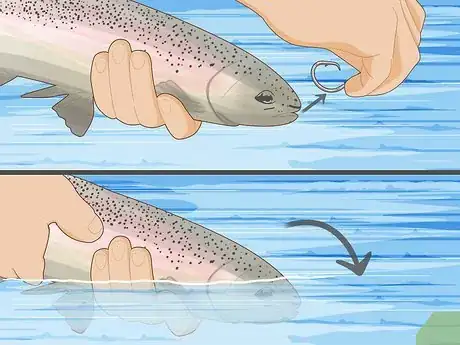 Image titled Fish Trout in a River Step 17