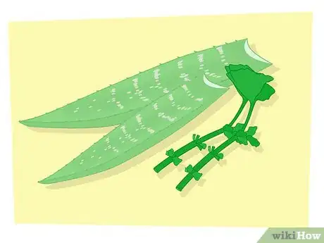 Image titled Propagate Your Plants Step 16