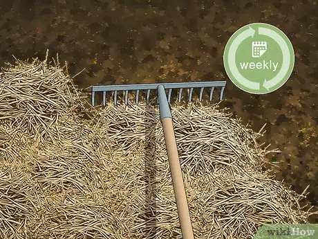 Image titled Care for an Asian Common Quail Step 11