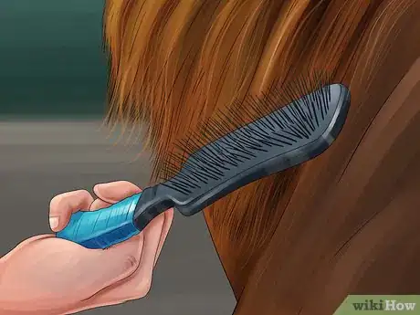 Image titled Brush the Mane of a Horse Step 4