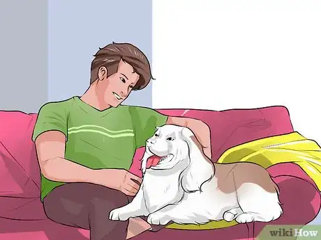 Image titled Care for a Recently Rehomed Dog Step 6