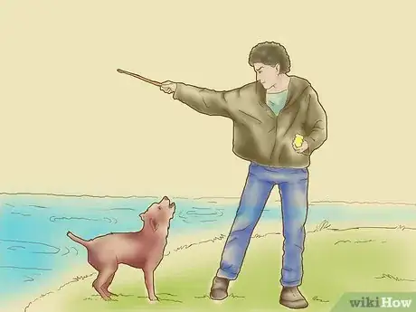 Image titled Teach Your Dog to Surf Step 3