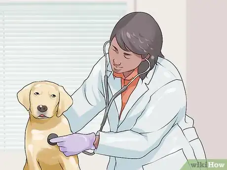 Image titled Handle New Noise Phobias in Older Dogs Step 8