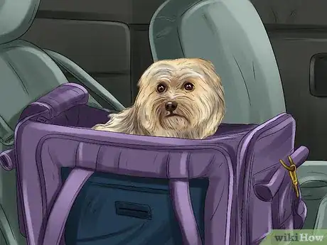 Image titled Prevent Your Dog from Becoming Carsick Step 6