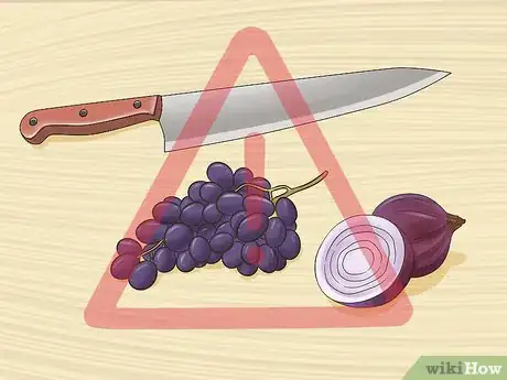 Image titled Take Care of Your Pet Step 3