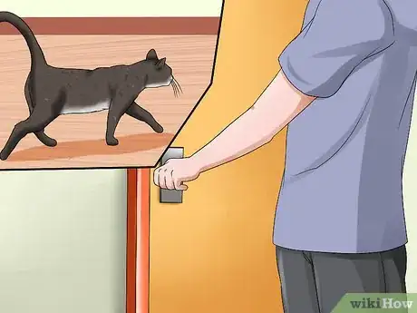 Image titled Prepare Your Cat for a New Baby Step 2