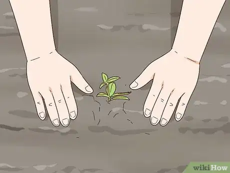 Image titled Grow Rhododendron Step 10