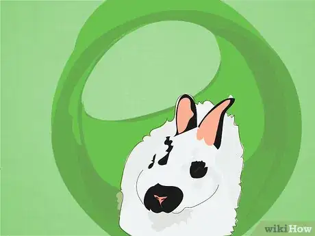 Image titled Care for Himalayan Rabbits Step 7