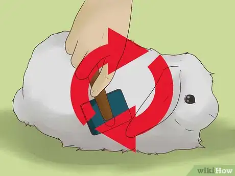 Image titled Groom an Angora Rabbit Step 8