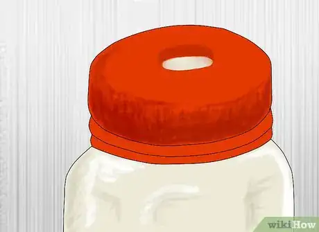 Image titled Make a Homemade Light with Fireflies Step 2