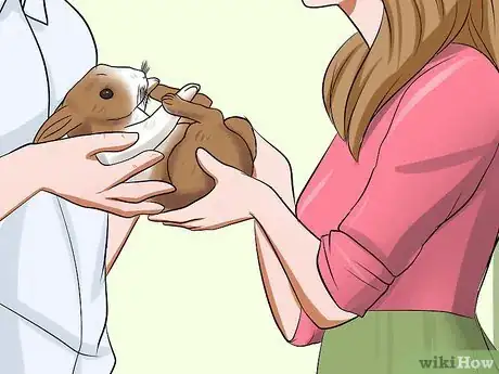 Image titled Win a Rabbit's Trust Step 13