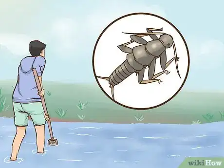 Image titled Identify a Healthy Stream Step 9