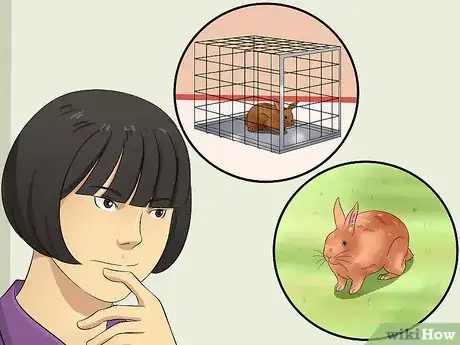 Image titled Care for Thrianta Rabbits Step 5