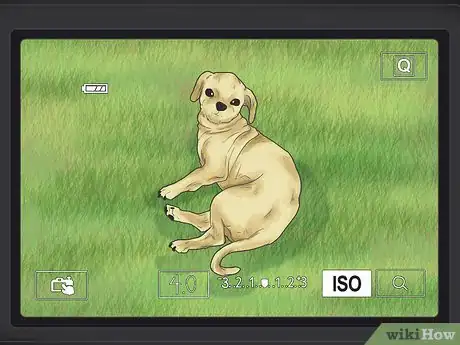 Image titled Photograph Pets Step 5