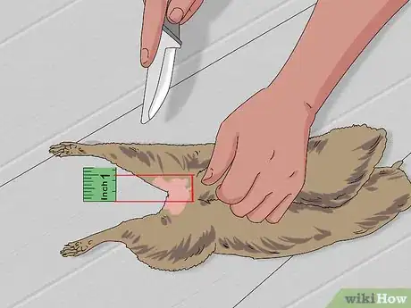 Image titled Skin a Squirrel Step 4