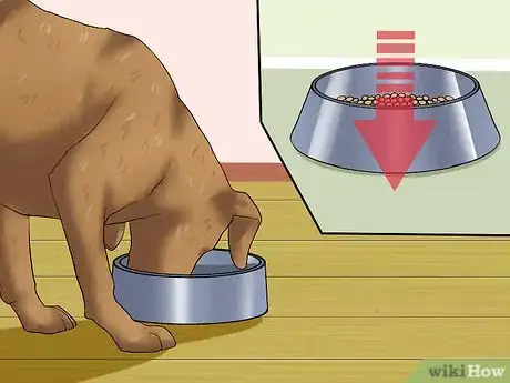 Image titled Diagnose Dog Flu Step 4