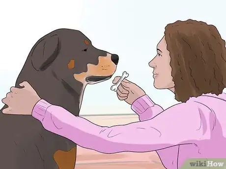 Image titled Teach a Dog to Read Sign Language Step 15
