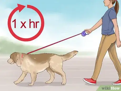 Image titled Supervise a New Dog Step 5