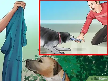 Image titled Show Affection to an Older Dog Step 10