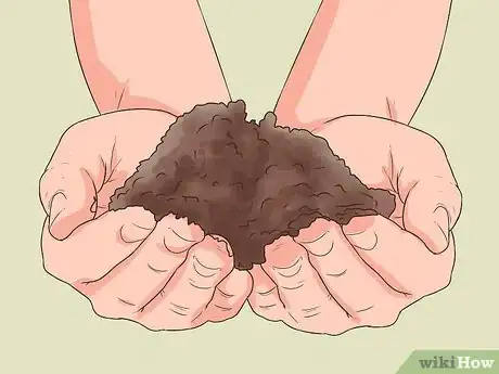 Image titled Plant on a Slope Step 5