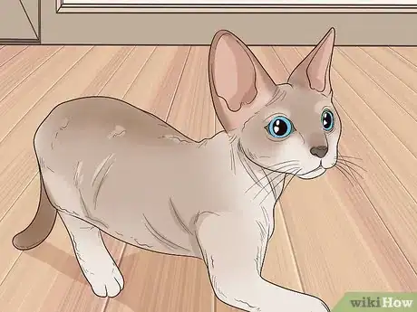 Image titled Choose a Hypoallergenic Cat Breed Step 1