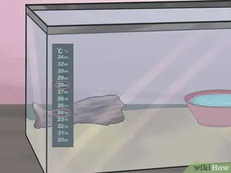 Image titled Breed Hermit Crabs Step 4